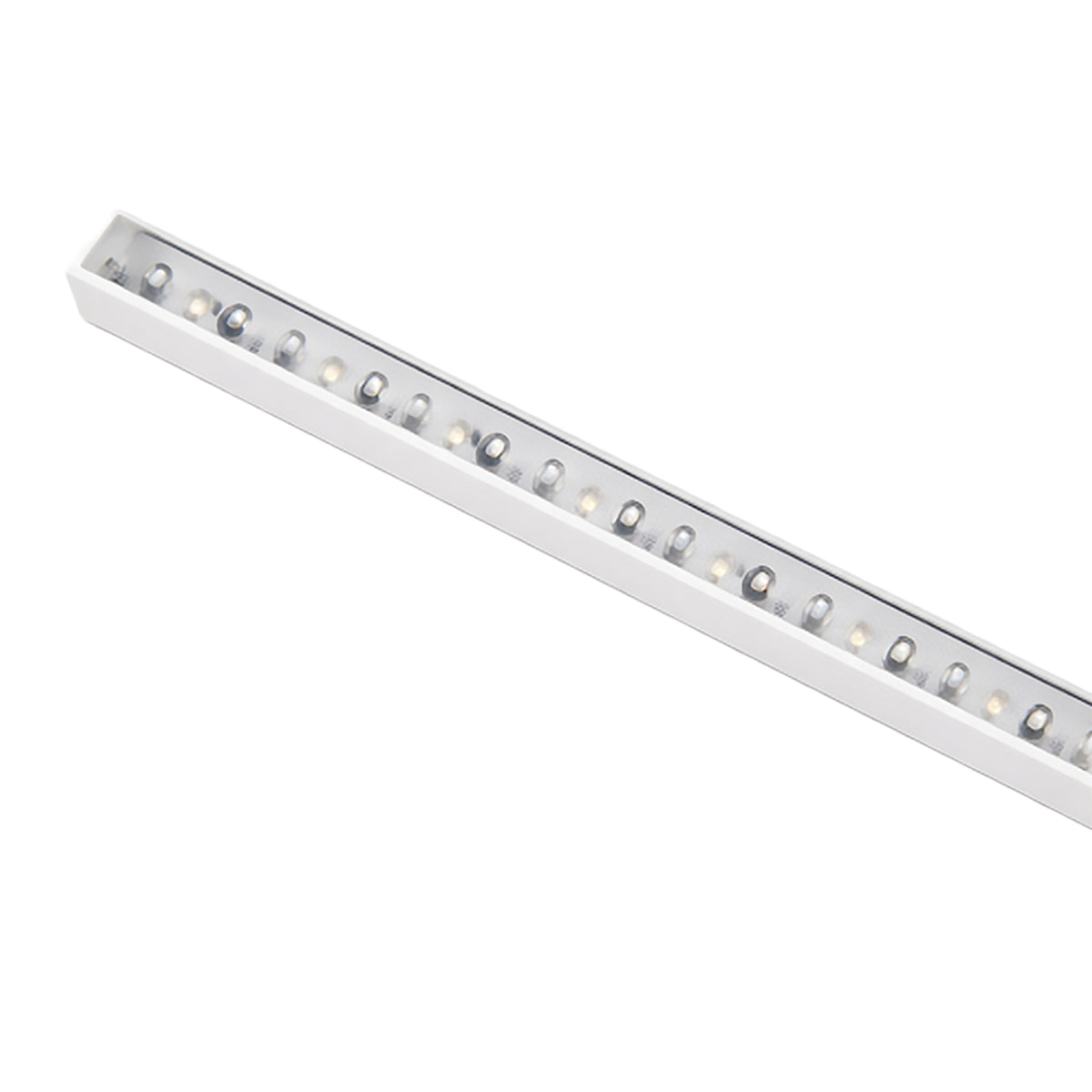 Profile – RIA - Lighting Fixtures - Prolume Lighting