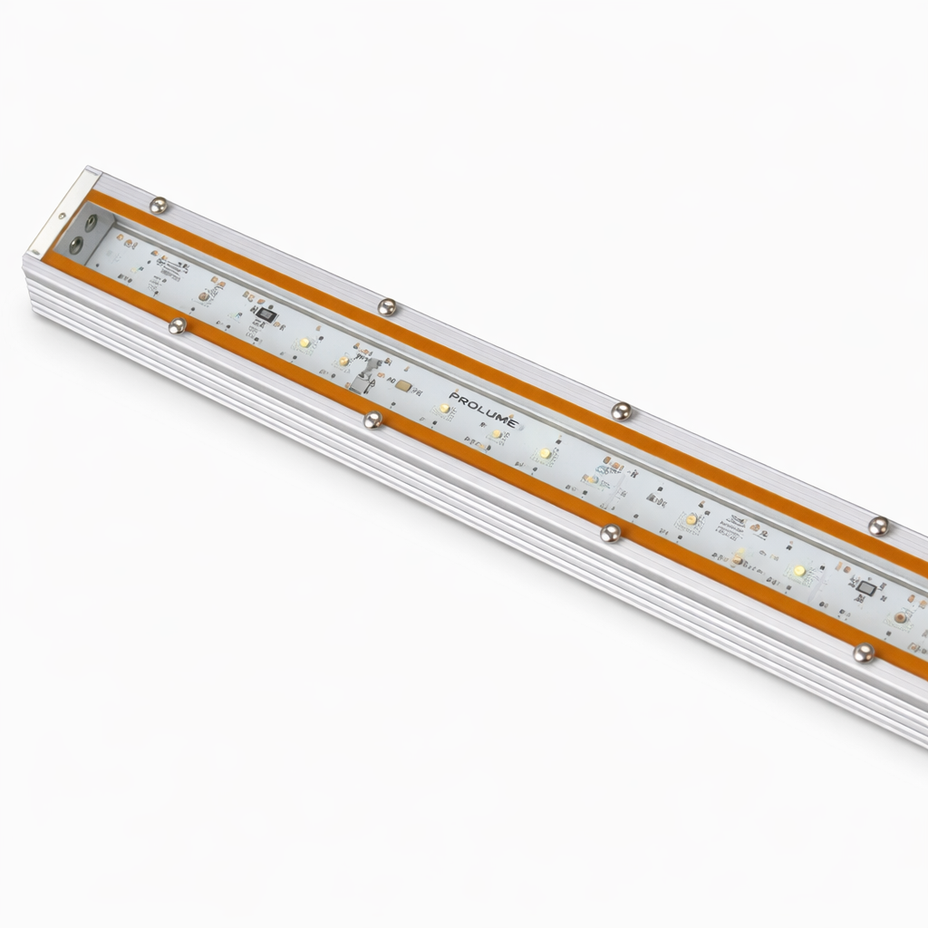 Zuma - ZE - Lighting Fixtures - Prolume Lighting