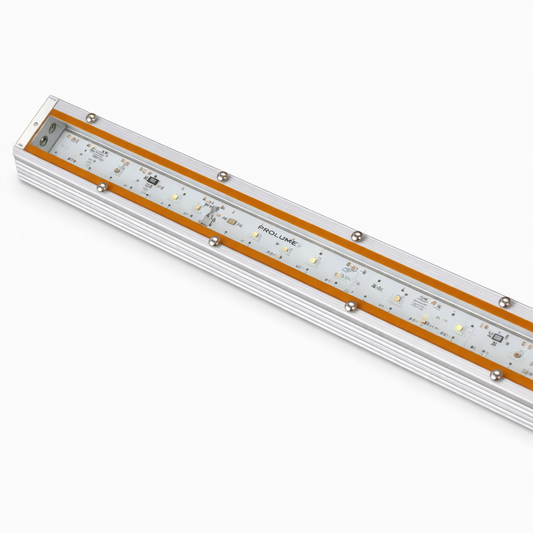 Zuma - ZE - Lighting Fixtures - Prolume Lighting